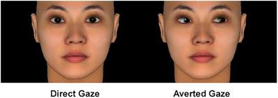 Implicit Perceptions of Closeness From the Direct Eye Gaze